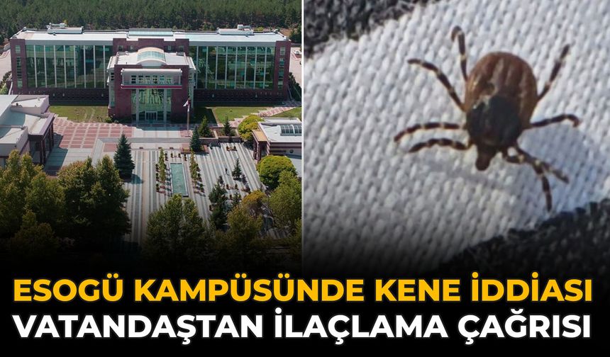 ESOGÜ Kampüsünde Kene İddiası: Vatandaştan İlaçlama Çağrısı