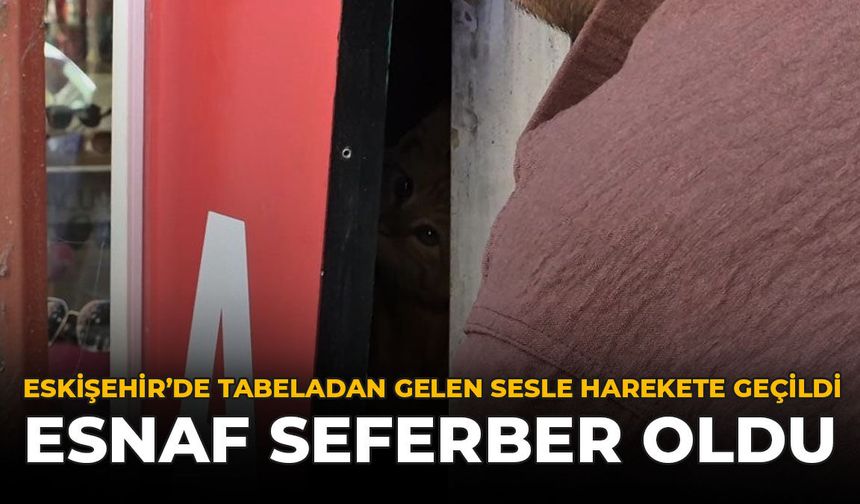 Eskişehir'de Tabeladan Gelen Sesle Harekete Geçildi: Esnaf Seferber Oldu