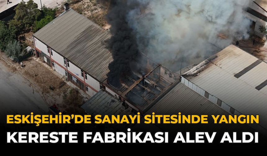 Eskişehir'de Sanayi Sitesinde Yangın: Kereste Fabrikası Alev Aldı