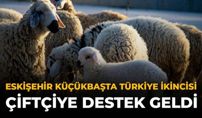 Eskişehir Küçükbaşta Türkiye İkincisi: Çiftçiye Yeni Destek Geldi