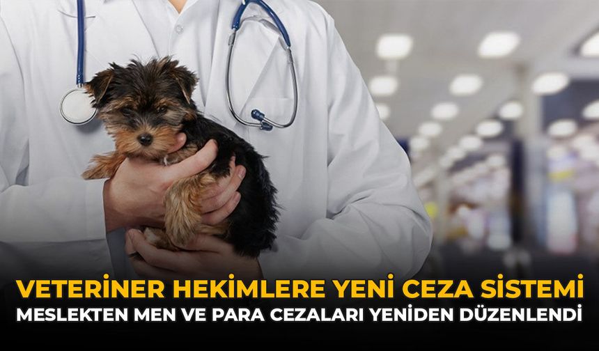 Veteriner Hekimlere Yeni Ceza Sistemi: Meslekten Men ve Para Cezaları Yeniden Düzenlendi