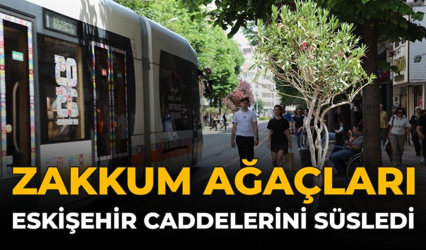 Zakkum Ağaçları Eskişehir Caddelerini Süsledi