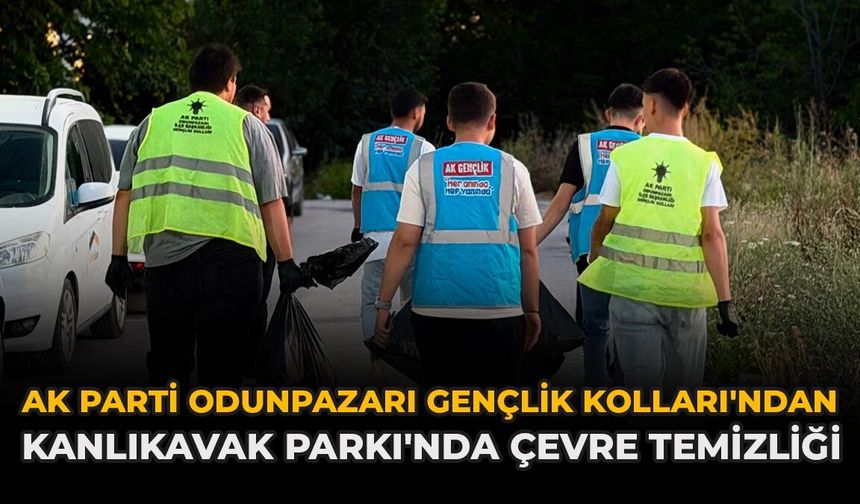AK Parti Odunpazarı Gençlik Kolları'ndan Kanlıkavak Parkı'nda Çevre Temizliği