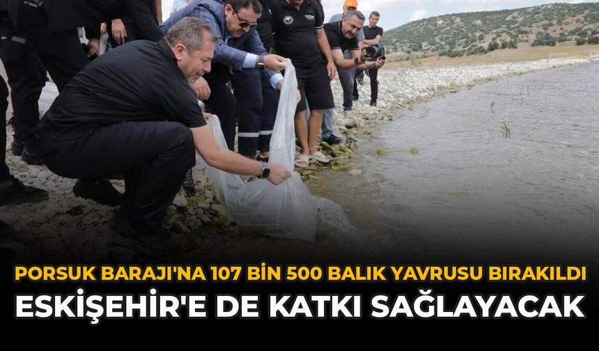 Porsuk Barajı'na 107 Bin 500 Balık Yavrusu Bırakıldı: Eskişehir'e de Katkı Sağlayacak