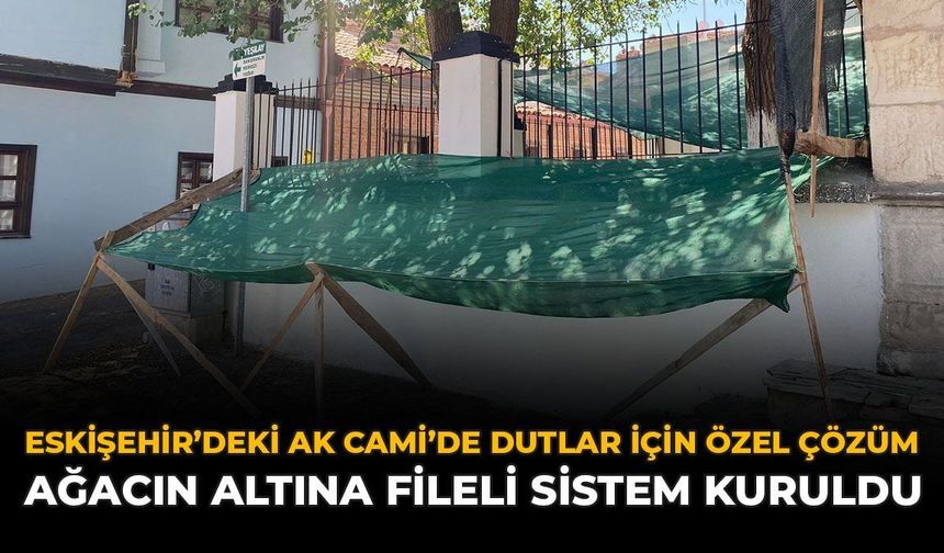 Eskişehir’deki Ak Cami’de Dutlar İçin Özel Çözüm: Ağacın Altına Fileli Sistem Kuruldu