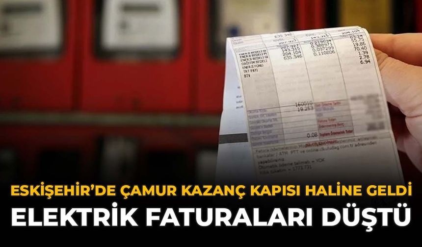 Eskişehir'de Çamur Kazanç Kapısı Haline Geldi: Elektrik Faturaları Düştü