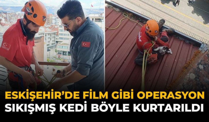 Eskişehir’de Film Gibi Operasyon: Sıkışmış Kedi Böyle Kurtarıldı