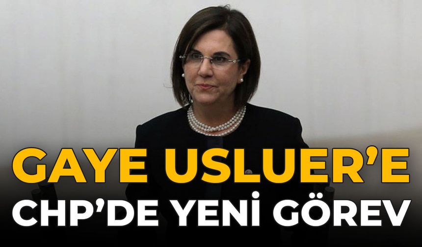 Gaye Usluer’e CHP’de Yeni Görev