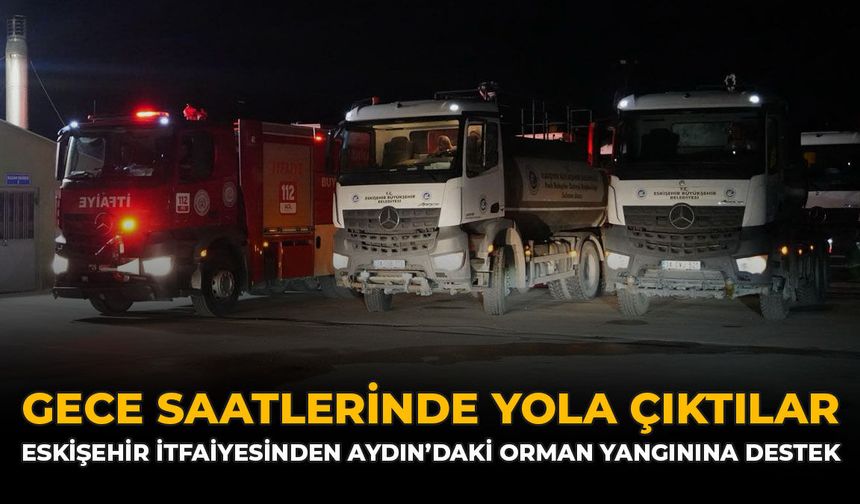Gece Saatlerinde Yola Çıktılar: Eskişehir İtfaiyesinden Aydın'daki Orman Yangınına Destek
