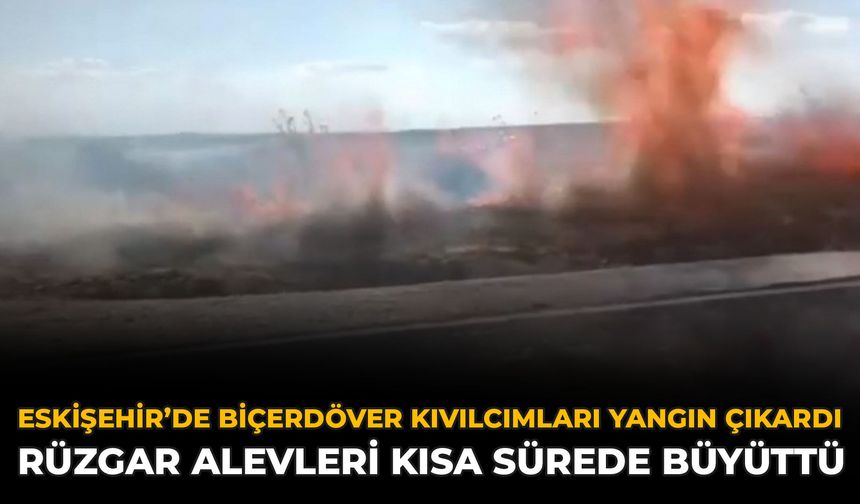 Eskişehir’de Biçerdöver Kıvılcımları Yangın Çıkardı: Rüzgar Alevleri Kısa Sürede Büyüttü