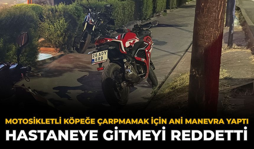 Motosikletli, Köpeğe Çarpmamak İçin Ani Manevra Yaptı: Hastaneye Gitmeyi Reddetti