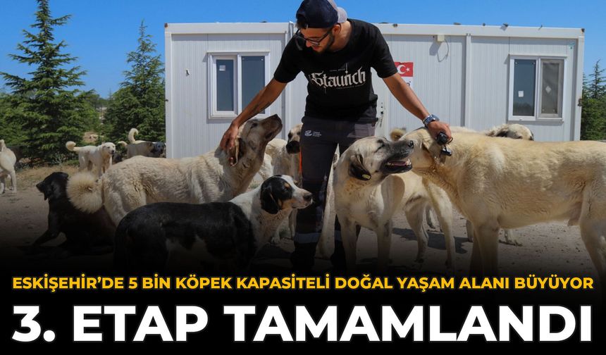 Eskişehir’de 5 Bin Köpek Kapasiteli Doğal Yaşam Alanı Büyüyor: 3. Etap Tamamlandı
