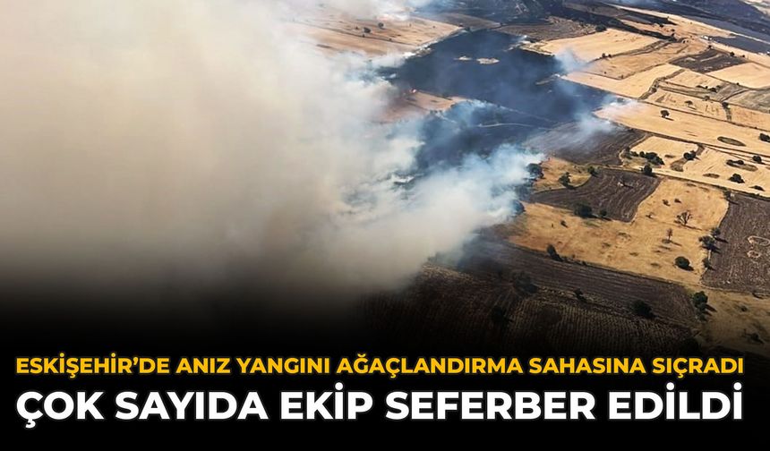 Eskişehir’de Anız Yangını Ağaçlandırma Sahasına Sıçradı: Çok Sayıda Ekip Seferber Edildi