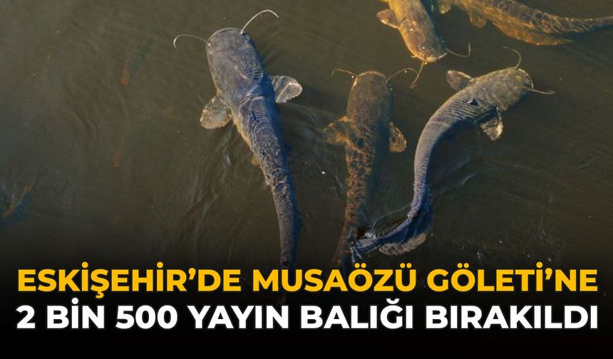 Eskişehir'de Musaözü Göleti'ne 2 Bin 500 Yayın Balığı Bırakıldı