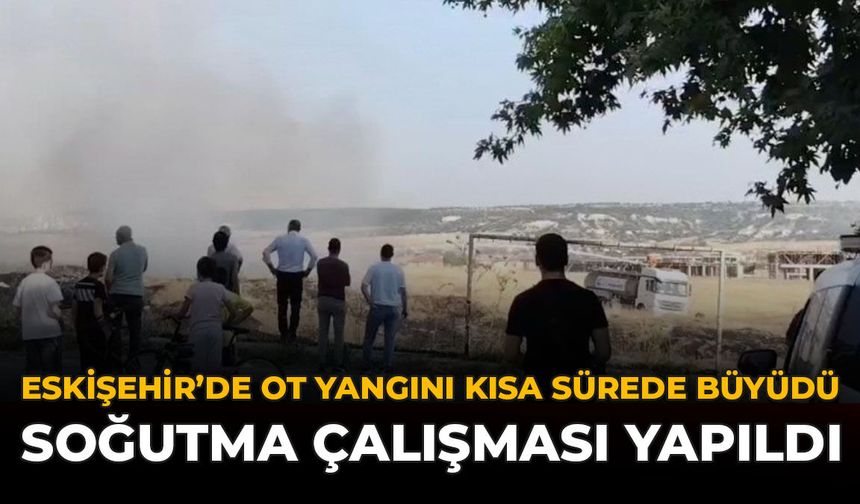 Eskişehir'de Ot Yangını Kısa Sürede Büyüdü: Soğutma Çalışması Yapıldı