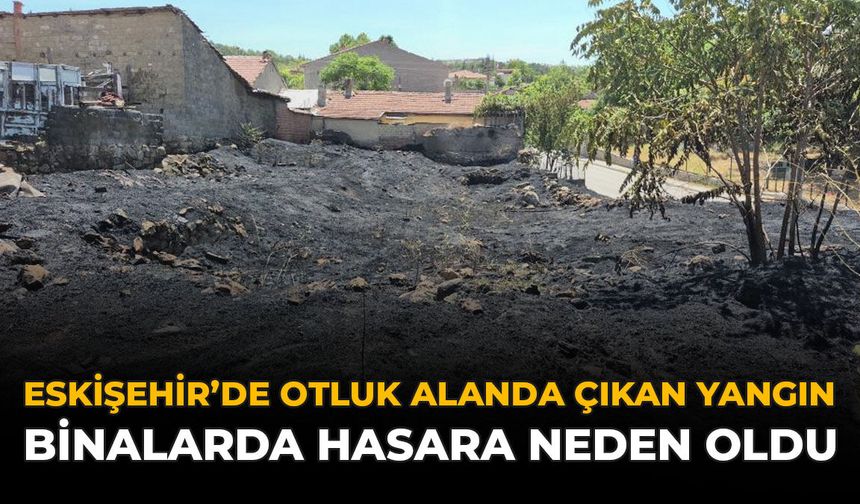 Eskişehir’de Otluk Alanda Çıkan Yangın Binalarda Hasara Neden Oldu