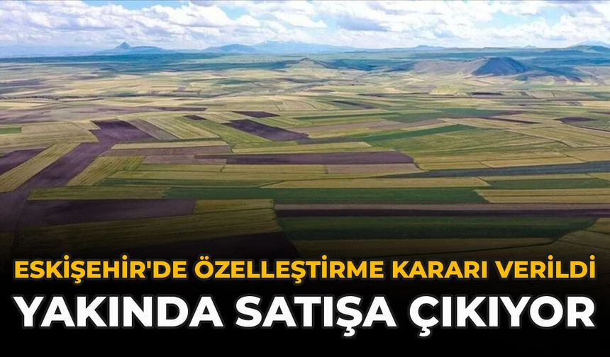 Eskişehir'de Özelleştirme Kararı Verildi: Yakında Satışa Çıkıyor