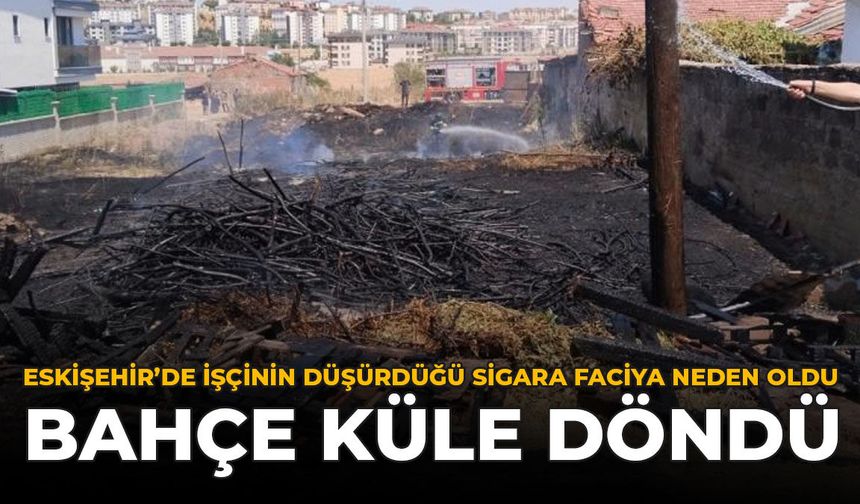Eskişehir'de İşçinin Düşürdüğü Sigara Faciaya Neden Oldu: Bahçe Küle Döndü