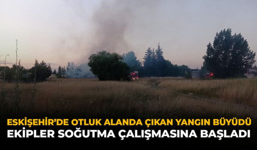 Eskişehir’de Otluk Alanda Çıkan Yangın Büyüdü: Ekipler Soğutma Çalışmasına Başladı