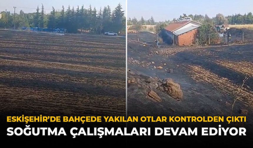 Eskişehir'de Bahçede Yakılan Otlar Kontrolden Çıktı: Soğutma Çalışmaları Devam Ediyor