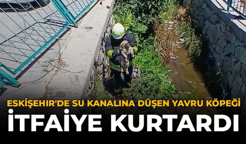 Eskişehir'de Su Kanalına Düşen Yavru Köpeği İtfaiye Kurtardı
