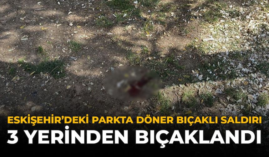Eskişehir'deki Parkta Döner Bıçaklı Saldırı: 3 Yerinden Bıçaklandı