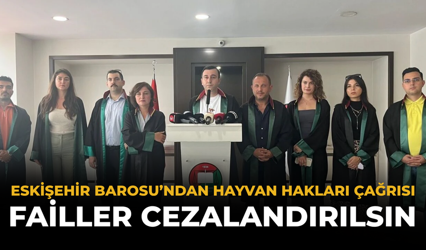 Eskişehir Barosu’ndan Hayvan Hakları Çağrısı: “Failler Cezalandırılsın”