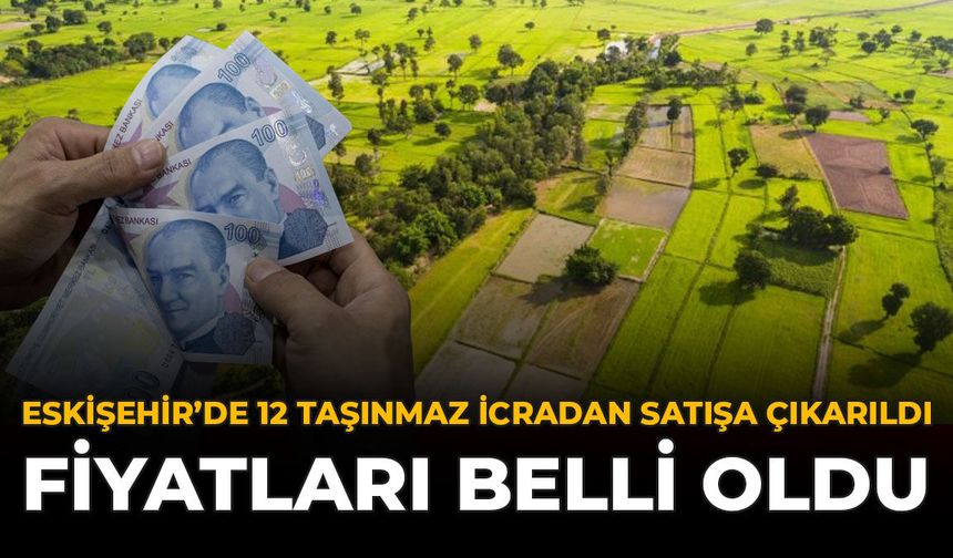 Eskişehir'de 12 Taşınmaz İcradan Satışa Çıkarıldı: Fiyatları Belli Oldu