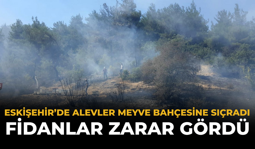 Eskişehir’de Alevler Meyve Bahçesine Sıçradı: Fidanlar Zarar Gördü