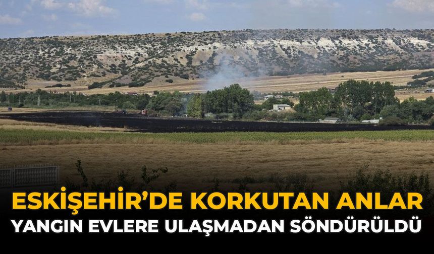Eskişehir'de Korkutan Anlar: Yangın Evlere Ulaşmadan Söndürüldü
