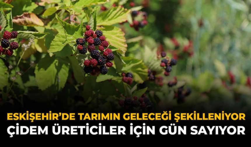 Eskişehir'de Tarımın Geleceği Şekilleniyor: ÇİDEM Üreticiler İçin Gün Sayıyor