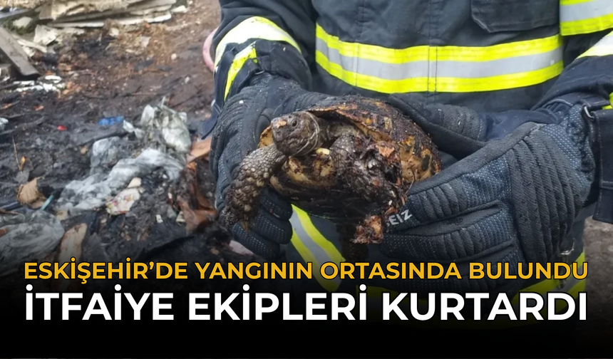 Eskişehir’de Yangının Ortasında Bulundu: İtfaiye Ekipleri Kurtardı