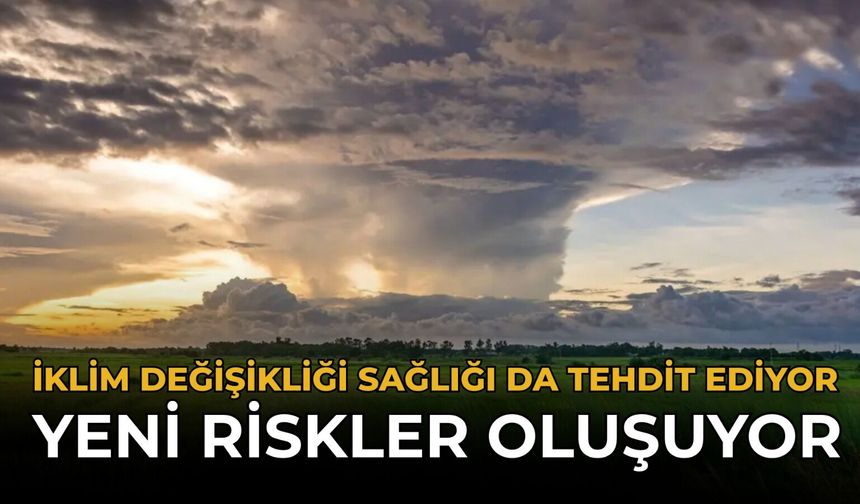 İklim Değişikliği Sağlığı Da Tehdit Ediyor: Yeni Riskler Oluşuyor