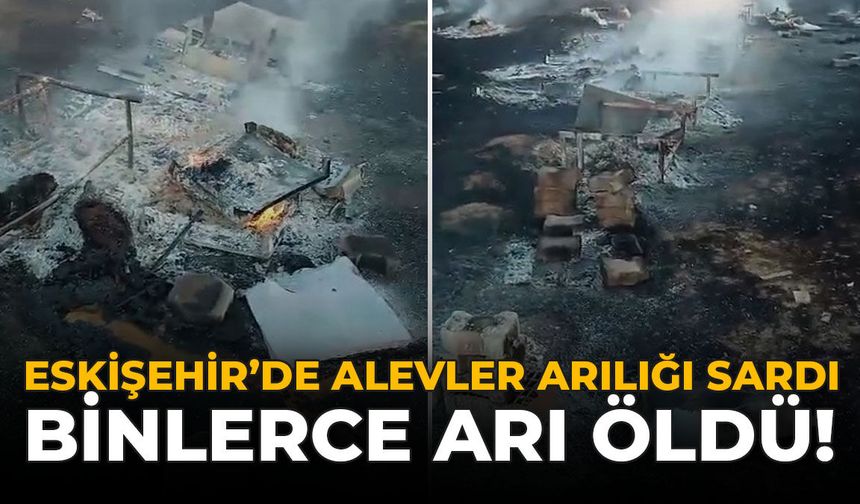 Eskişehir'de Alevler Arılığı Sardı: Binlerce Arı Öldü!