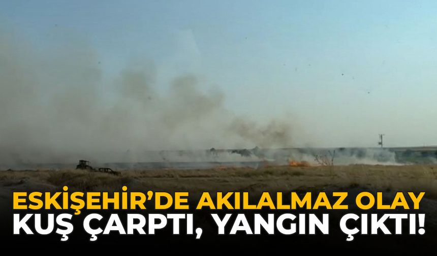 Eskişehir’de Akılalmaz Olay: Kuş Çarptı, Yangın Çıktı!