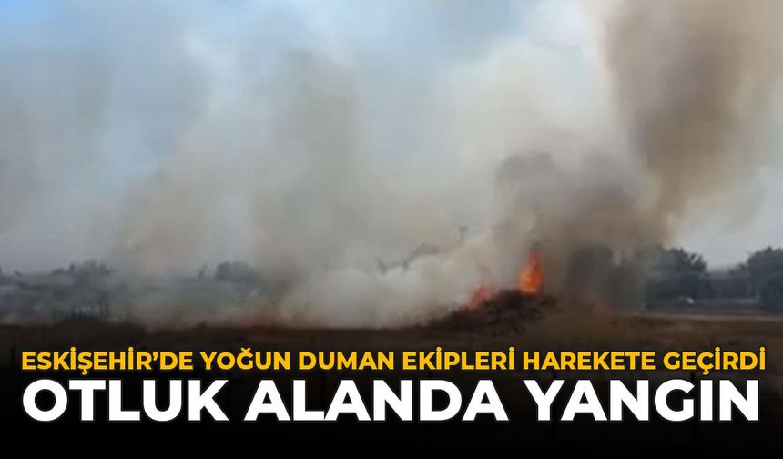 Eskişehir'de Yoğun Duman Ekipleri Harekete Geçirdi: Otluk Alanda Yangın