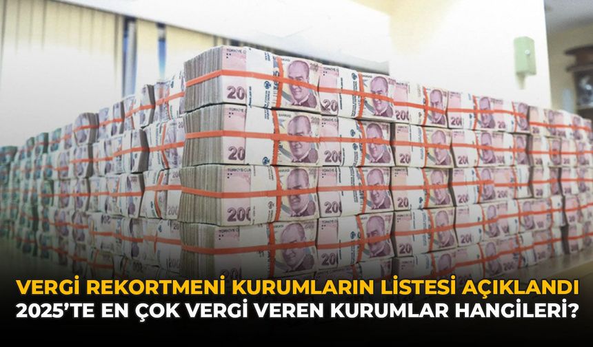 Vergi Rekortmeni Kurumların Lisetesi Açıklandı: 2025’te En Çok Vergi Veren Kurumlar Hangileri?