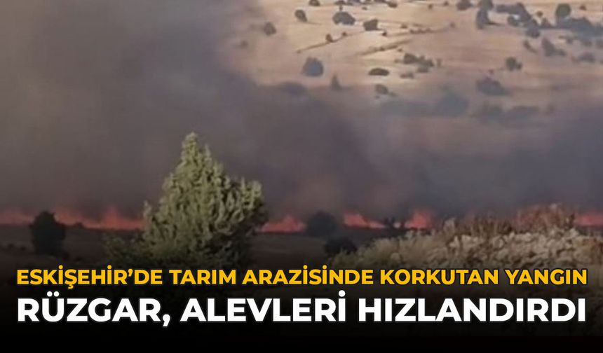 Eskişehir’de Tarım Arazisinde Korkutan Yangın: Rüzgar Alevleri Hızlandırdı