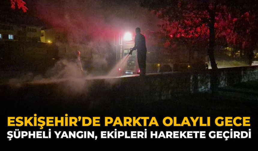 Eskişehir'de Parkta Olaylı Gece: Şüpheli Yangın, Ekipleri Harekete Geçirdi