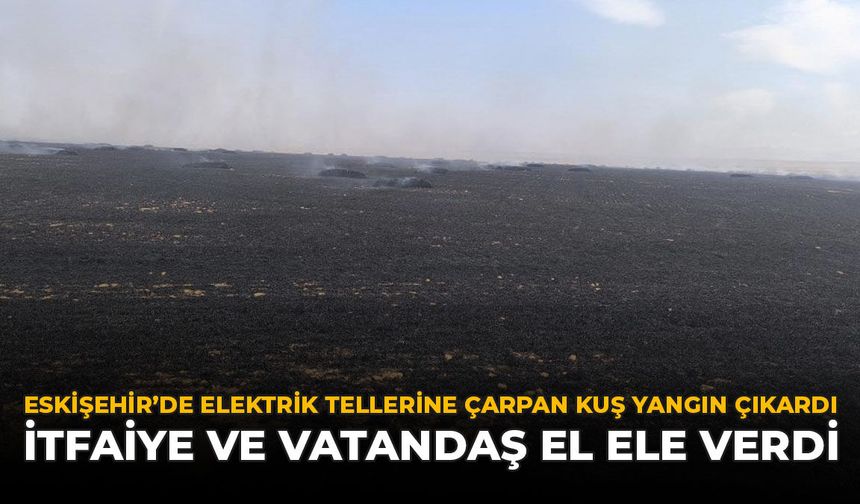 Eskişehir'de Elektrik Tellerine Çarpan Kuş Yangın Çıkardı: İtfaiye ve Vatandaş El Ele Verdi