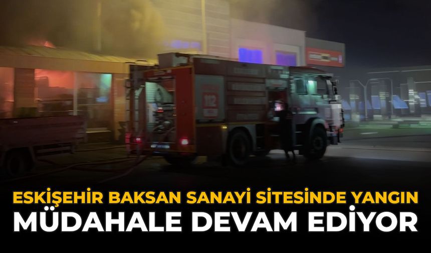 Eskişehir Baksan Sanayi Sitesinde Yangın: Müdahale Devam Ediyor