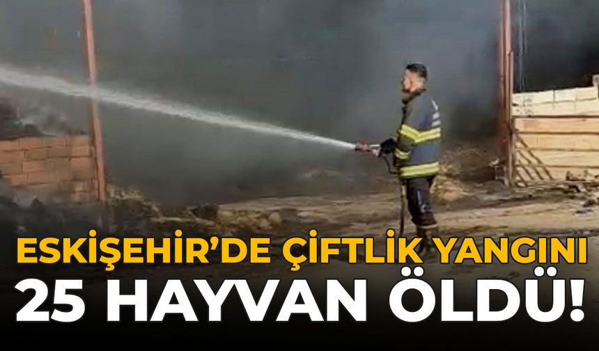 Eskişehir'de Çiftlik Yangını: 25 Hayvan Öldü!
