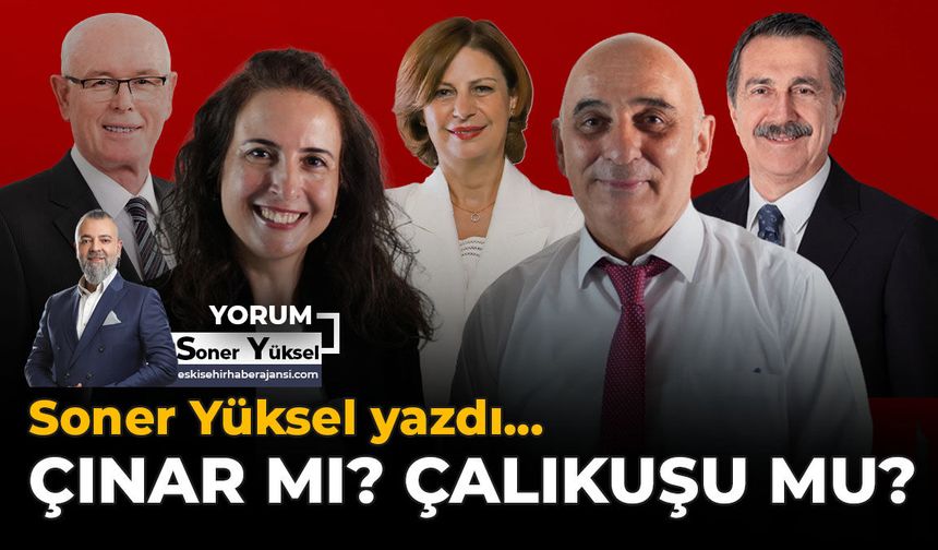Çınar mı? Çalıkuşu mu?