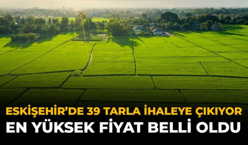 Eskişehir’de 39 Tarla İhaleye Çıkıyor: En Yüksek Fiyat Belli Oldu