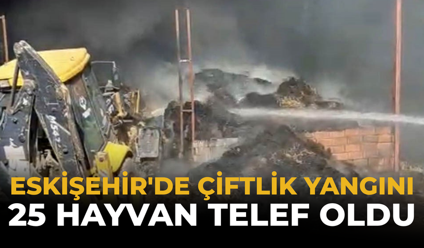 Eskişehir'de Çiftlik Yangını: 25 Hayvan Telef Oldu