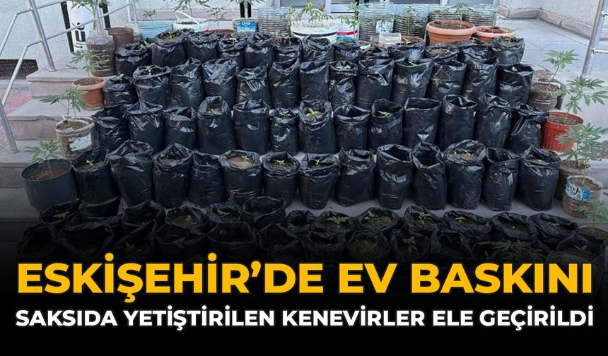 Eskişehir Ev Baskını: Saksılarda Yetiştirilen Kenevirler Ele Geçirildi