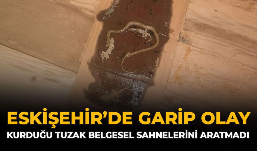 Eskişehir'de Garip Olay: Kurduğu Tuzak Belgesel Sahnelerini Aratmadı