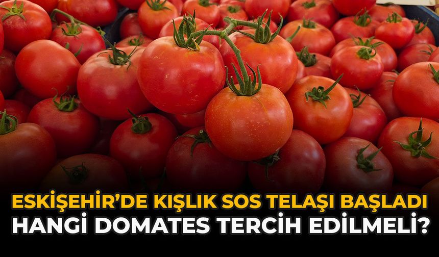 Eskişehir’de Kışlık Sos Telaşı Başladı: Hangi Domates Tercih Edilmeli?