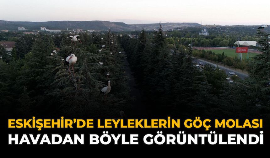 Eskişehir’de Leyleklerin Göç Molası Havadan Böyle Görüntülendi