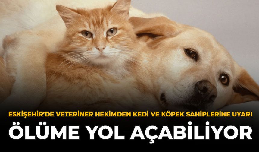 Eskişehir’de Veteriner Hekimden Kedi Ve Köpek Sahiplerine Uyarı: Ölüme Yol Açabiliyor